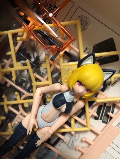 人类陪伴计划 CAT.Felis CAT-002 菲利斯