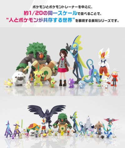 宝可梦比例世界 伽勒尔地区  冠军丹帝+多龙巴鲁托