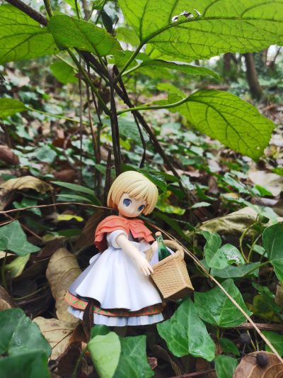 POP WONDERLAND 小红帽