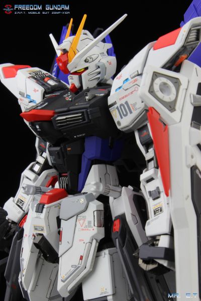 MG 机动战士高达SEED ZGMF-X10A 自由高达