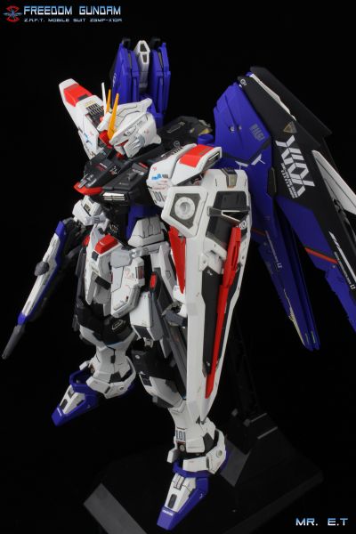 MG 机动战士高达SEED ZGMF-X10A 自由高达