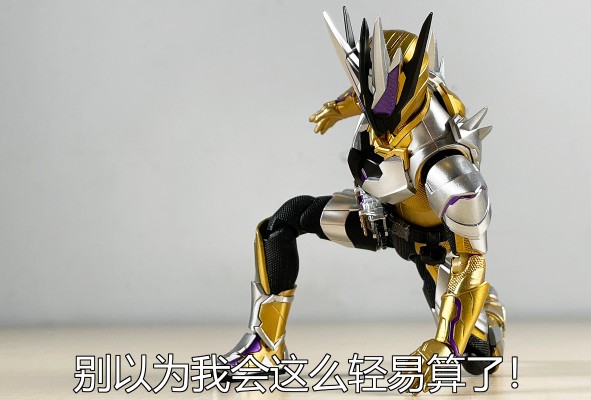 S.H.Figuarts 假面骑士零一 假面骑士千骑