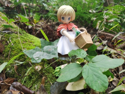 POP WONDERLAND 小红帽