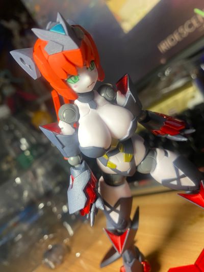 机械新人类 罗莎