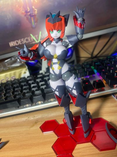 机械新人类 罗莎