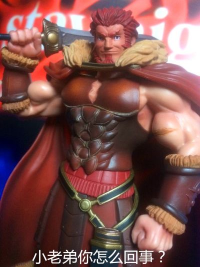 DXF 手办  Fate/Zero Rider