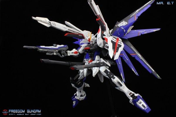 MG 机动战士高达SEED ZGMF-X10A 自由高达