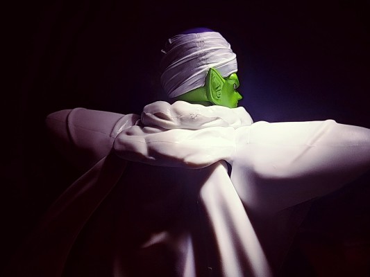 S.H.Figuarts 龙珠Z 比克 -高贵的纳美克星人-