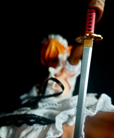 对魔忍阿莎姬 决战竞技场 井河樱