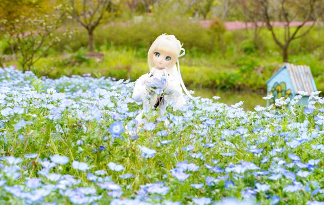 ドルフィードリーム合集 BY シュロウガ