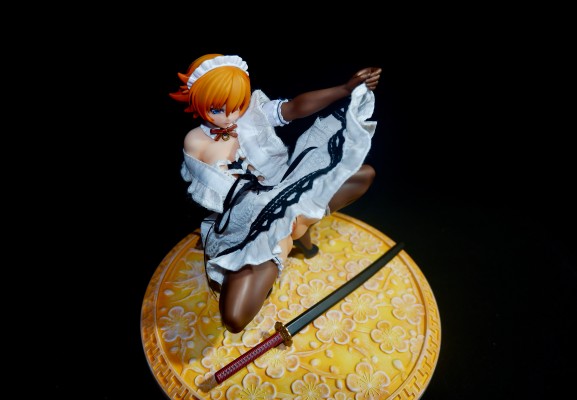 对魔忍阿莎姬 决战竞技场 井河樱