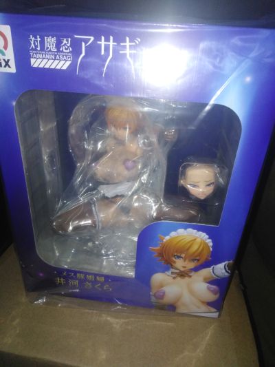 对魔忍阿莎姬 决战竞技场 井河樱