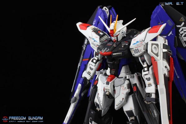 MG 机动战士高达SEED ZGMF-X10A 自由高达