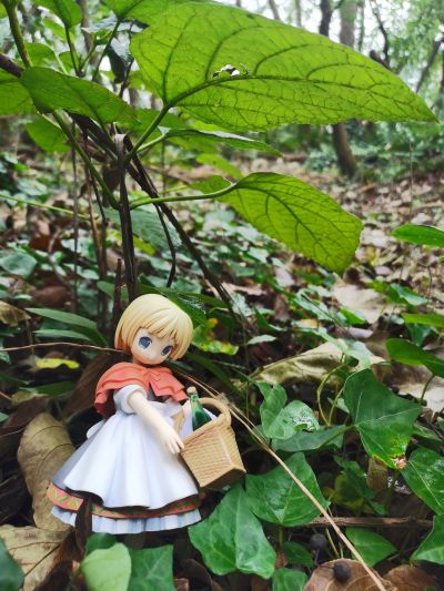 POP WONDERLAND 小红帽