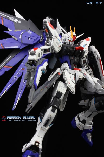 MG 机动战士高达SEED ZGMF-X10A 自由高达