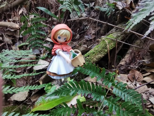 POP WONDERLAND 小红帽