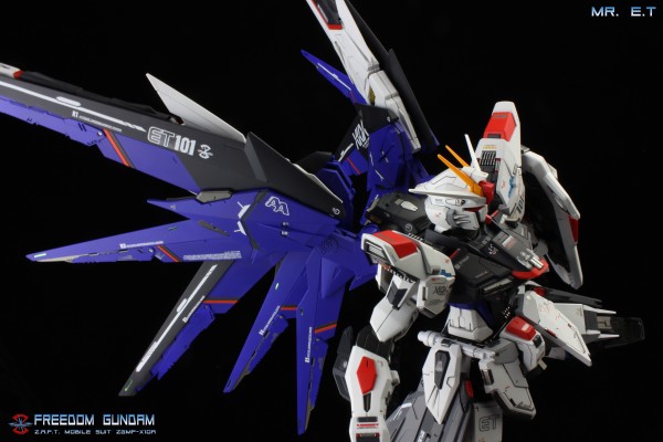 MG 机动战士高达SEED ZGMF-X10A 自由高达