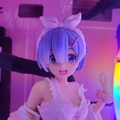 Precious Figure Re：从零开始的异世界生活 蕾姆 中国限定配色