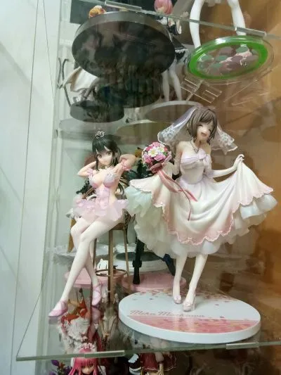 火烈鸟芭蕾舞团 马尾辫女孩