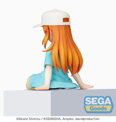 工作细胞 血小板