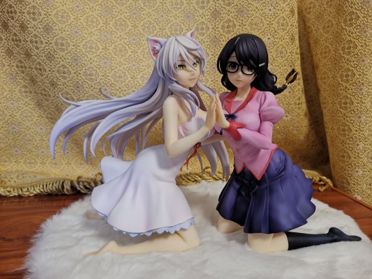 猫物语 黑羽川 与 羽川翼