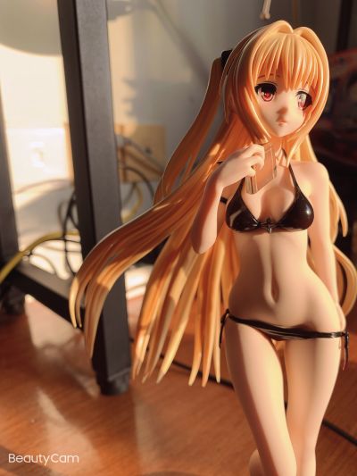 金色暗影 泳装版