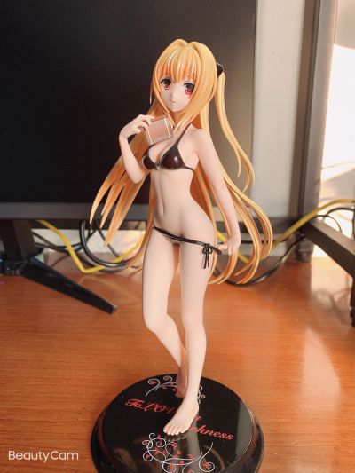 金色暗影 泳装版