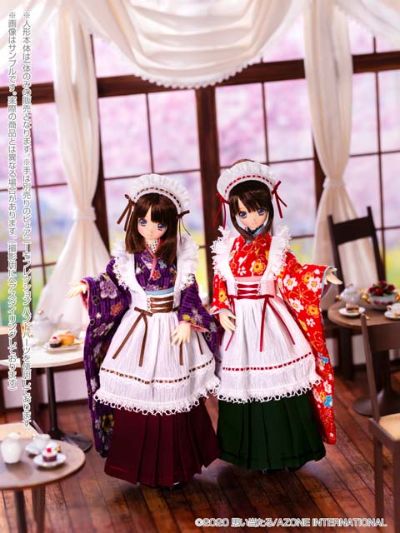 EX☆CUTE Family 大正少女茶室/风花～矢絣樱～ (Azone商城贩售 ver.)