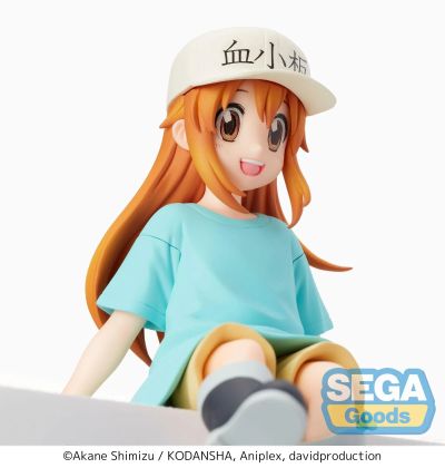 工作细胞 血小板