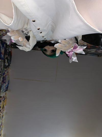 DMG001 一拳超人 战栗的龙卷