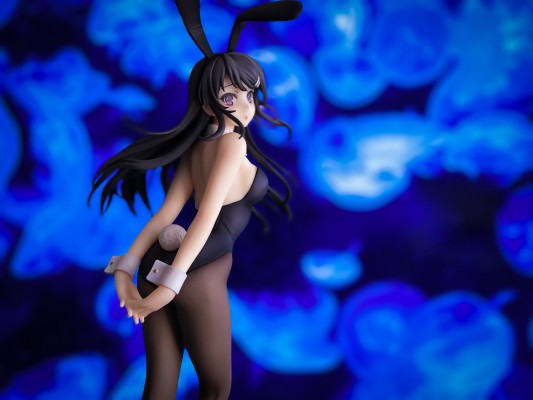 青春期笨蛋不做兔女郎学姐的梦 樱岛麻衣 白色兔女郎