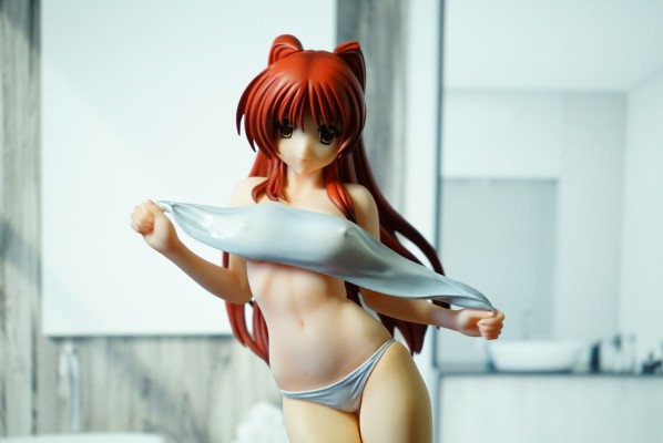 ToHeart2 向坂環 -バケーションver.- (通常版黑)