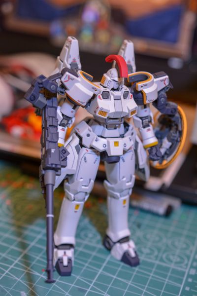 RG 1/144 杜鲁基斯 EW