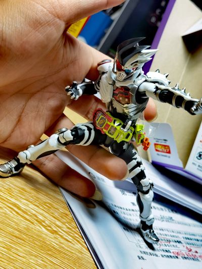 S.H.Figuarts 假面骑士艾克赛德 假面骑士幻梦 丧尸动作玩家 未知等级