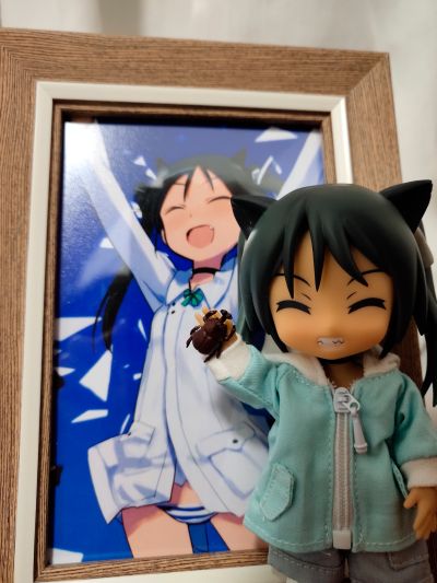 粘土人 #108 强袭魔女 弗兰西斯卡・鲁基尼