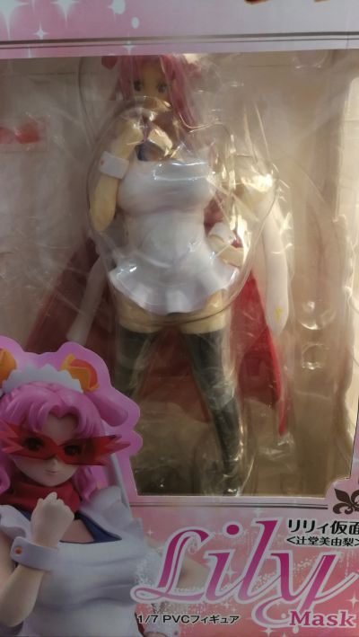 圣痕炼金士 辻堂美由梨 