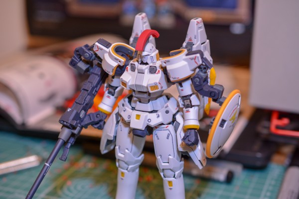 RG 1/144 杜鲁基斯 EW