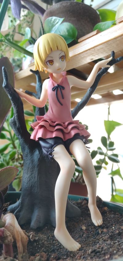 一番賞 傷物語 鐵血篇 B賞 10歲 姬絲秀忒・雅賽蘿拉莉昂・刃下心