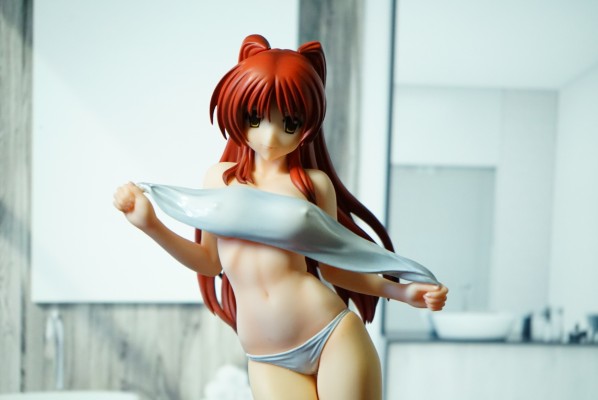 ToHeart2 向坂環 -バケーションver.- (通常版黑)