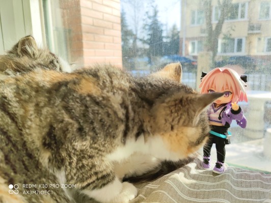 粘土娃 Fate/Apocrypha 阿斯托尔福 私服