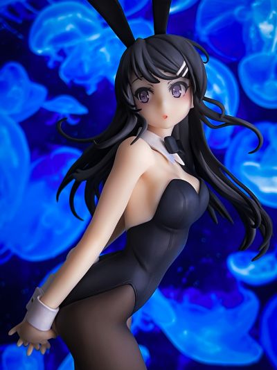 青春期笨蛋不做兔女郎学姐的梦 樱岛麻衣 白色兔女郎