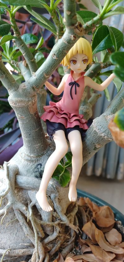 一番賞 傷物語 鐵血篇 B賞 10歲 姬絲秀忒・雅賽蘿拉莉昂・刃下心