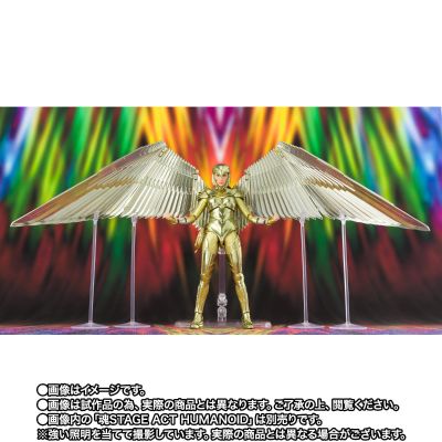 S.H.Figuarts 神奇女侠1984  神奇女侠 金色装甲