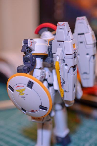 RG#28 多鲁基斯 EW