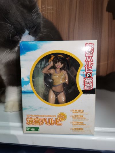 凉宫春日的忧郁 凉宫春日 ビーチSIDEVer. 