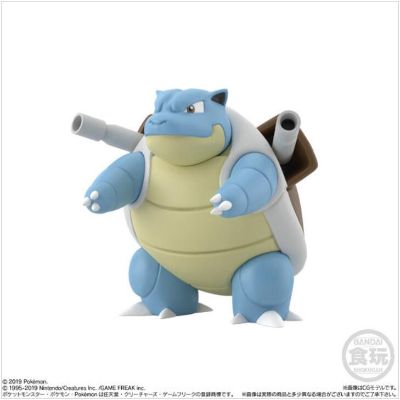 宝可梦比例世界 关都地区 水箭龟