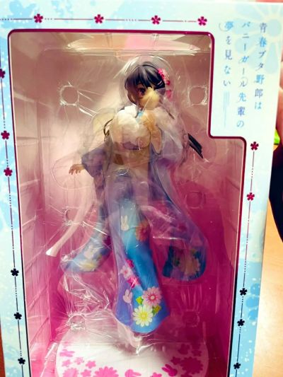 青春期笨蛋不做兔女郎学姐的梦 樱岛麻衣 晴着ver.