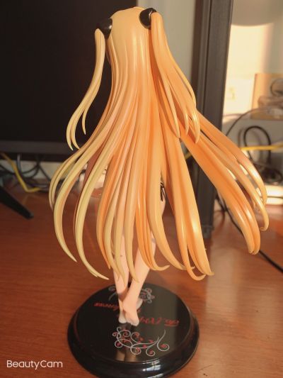 金色暗影 泳装版