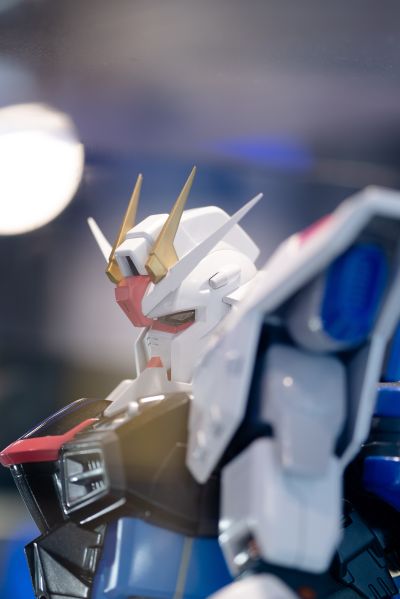 1/24  机动战士高达SEED ZGMF-X10A  实物大自由高达立像微缩雕像