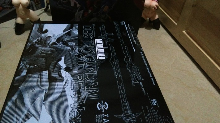 METAL BUILD 机动战士高达SEED DESTINY ZGMF-X42S 命运高达 SOUL RED Ver.